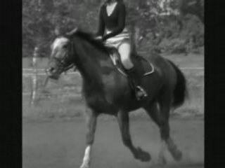 Cours Inoubliables ...