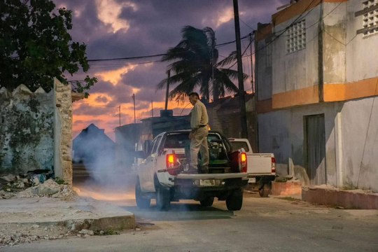 Mérida prepara fumigaciones en comisarías ante temporada de proliferación de mosquitos