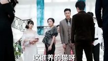 Playing with My new found family [ Engsub ] [xaas1wy]