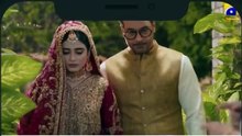 Sultan Muhammad Fateh season 1 episode 30 in Urdu