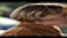 B e e f   S 0 2 E 0 5 [Full Movie] [Full Episodes]Full EP - Full