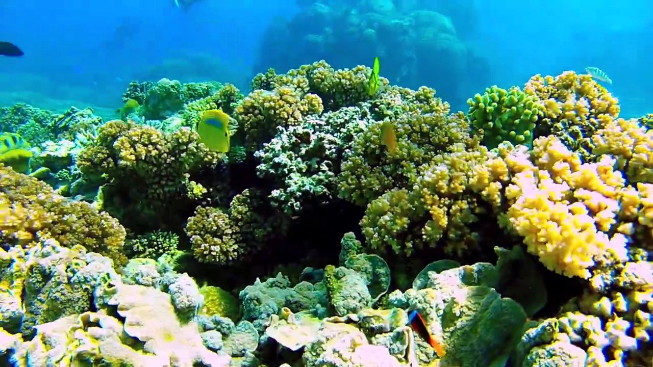 Jour 53 - Australie HD