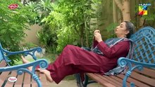 Ek Jhooti Kahani ep 17 Pakistani drama