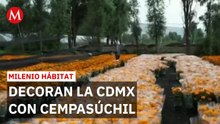 2.5 millones de flores de cempasúchil adornarán avenidas de la CdMx | Milenio Hábitat