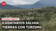 Ecoturismo en CdMx: ejidatarios luchan por sobrevivir en volcán Xitle | Milenio Hábitat