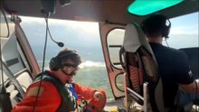 IAT lança 700 mil sementes de palmeira-juçara em áreas de Mata Atlântica no Litoral do Paraná