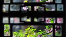 何善凯＆蔺瑞雪 - 【夫人错嫁十年，改嫁皇室子凭母贵】  (上篇)