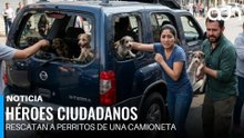 Ciudadanos rescatan a perritos de una camioneta en donde estaban las ventanas arriba
