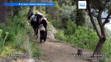 Στα μονοπάτια του Αγίου Όρους μέρος 8ο: Τα σπάνια εργόχειρα και οι μοναχοί της τέχνης