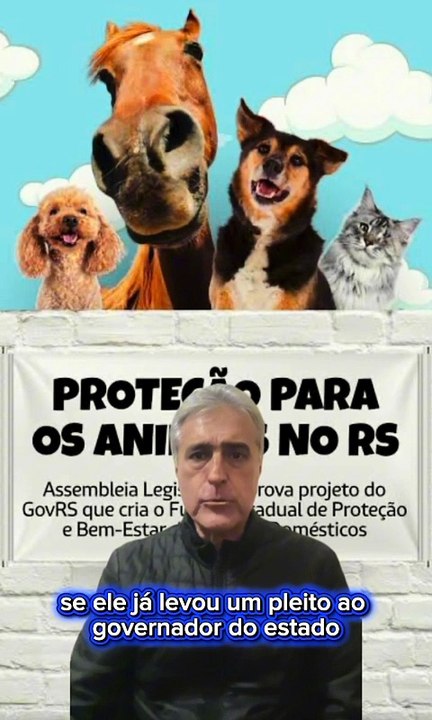 Fundo para os animais