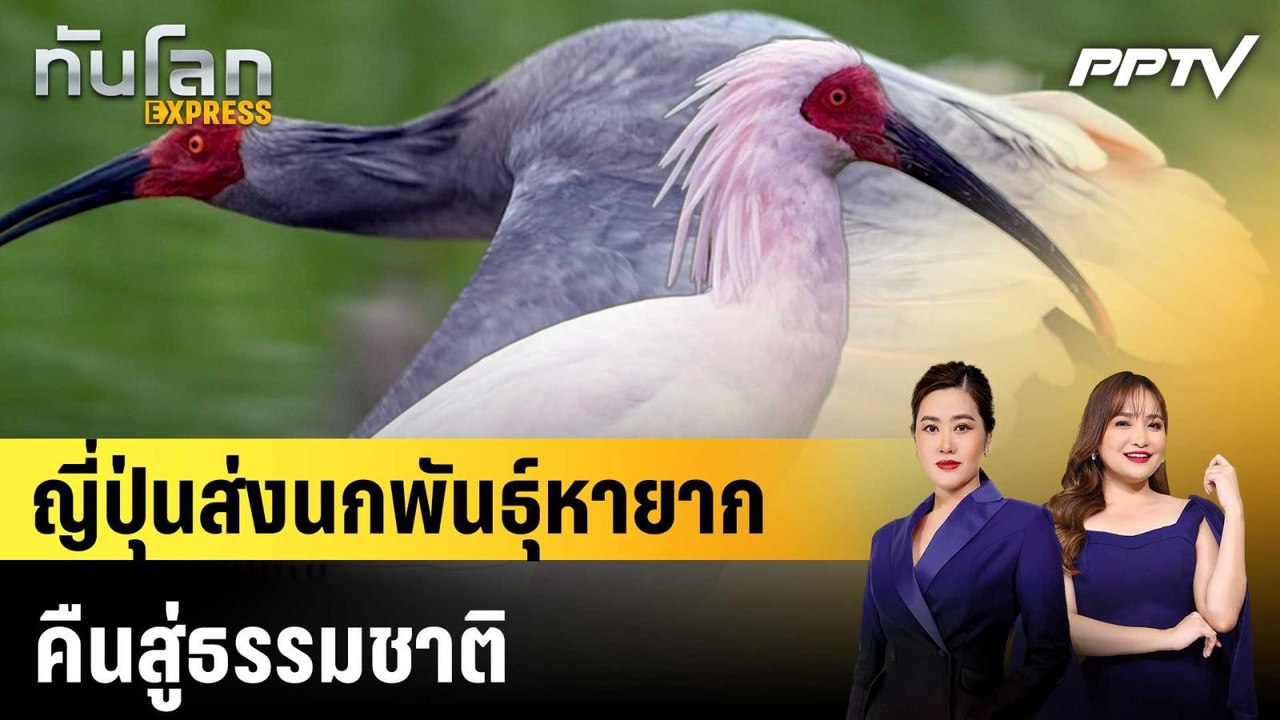 ญี่ปุ่นส่งนกพันธุ์หายากคืนสู่ธรรมชาติ|ทันโลก EXPRESS |4 มิ.ย. 69