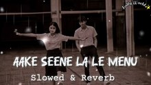 Aake Seene La Le Menu (Slowed _Reverb) Lo-fi Song __✨__