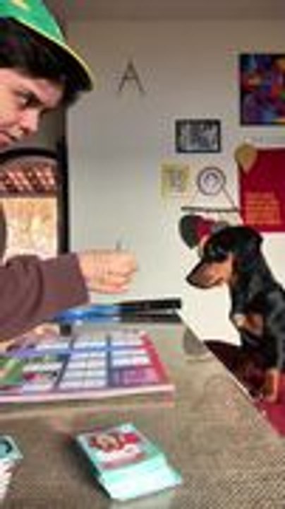 Dog Helps Peel Stickers for Album