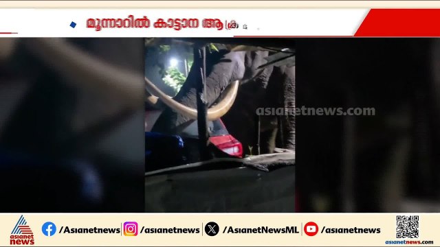 ഒറ്റച്ചവിട്ടിന് കാർ തവിട് പൊടി! മൂന്നാറിൽ പടയപ്പയുടെ പരാക്രമം