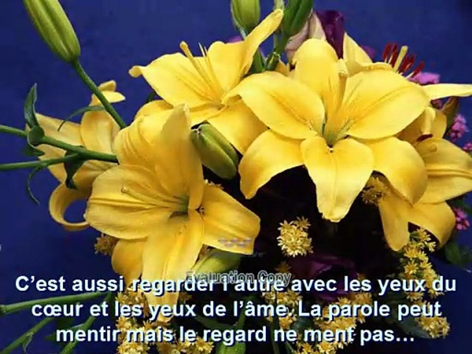 LA PETITE CHOSE QU'EST L'AMOUR