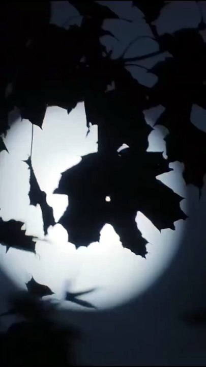 Broken Queen HD 1080p ADSH