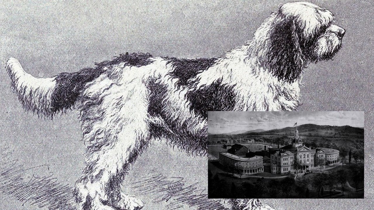 The Horrifying and Mysterious Case of Tillie Smith