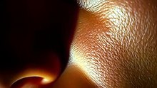 This Bias Destroys Your Reality