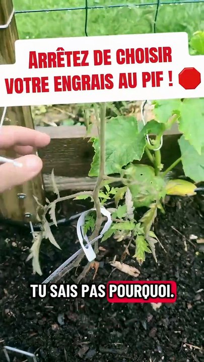 Arrêtez de choisir votre engrais au pif ! 🛑