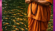 "माशांनी पाय कुरतडले तरी ध्यान सोडलं नाही?"