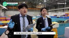 수입 수산생물의 안심 첫 관문, 국립수산물품질관리원의 철저한 국경 검역 현장