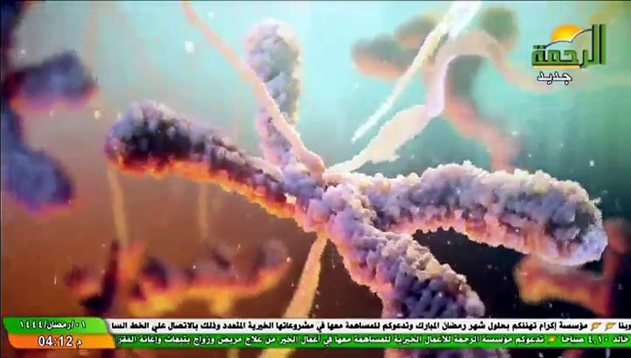 Al Rahma(20250507222 090536)-1
