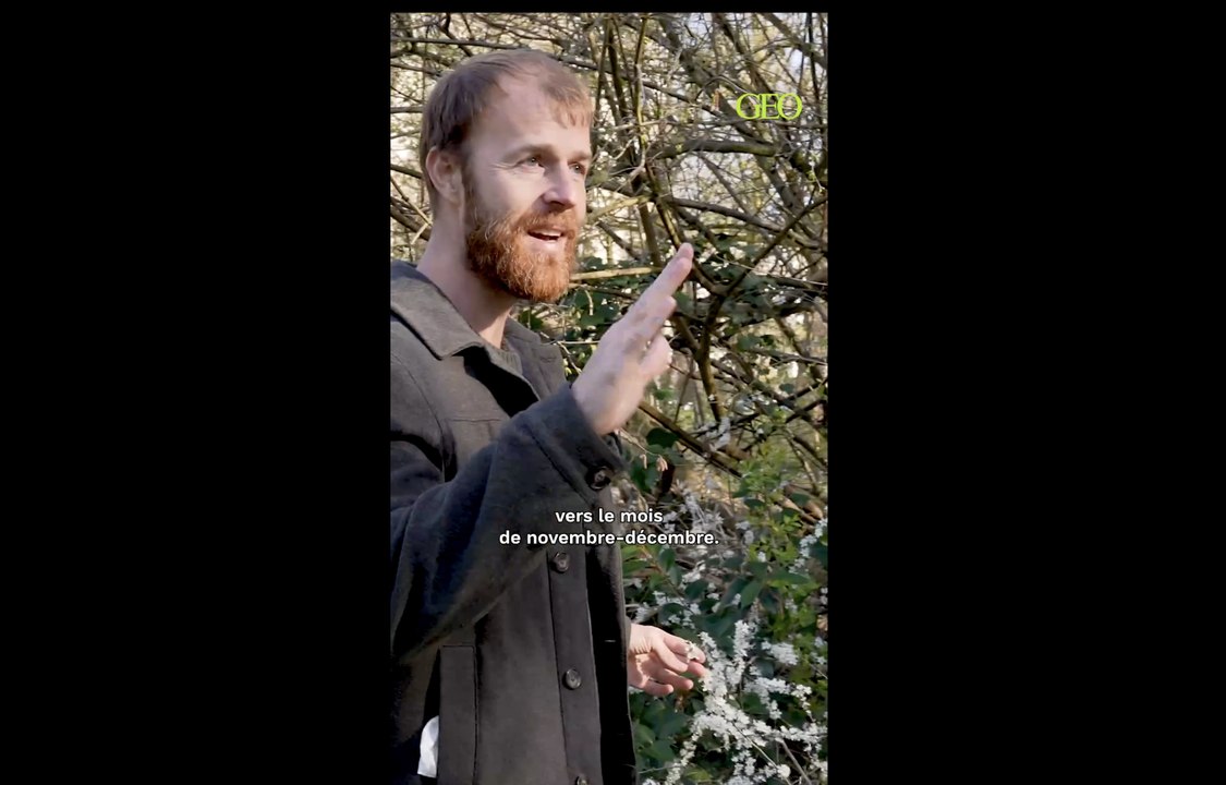 Une cueillette urbaine au bois de Vincennes avec Christophe de Hody