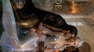 fated bride of ancient serpent Full Movie 1080p