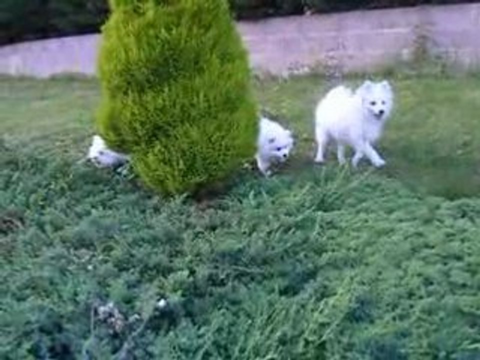 Les bébés de Gloria 097