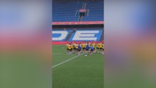 El césped de Riazor, en perfecto estado de revista