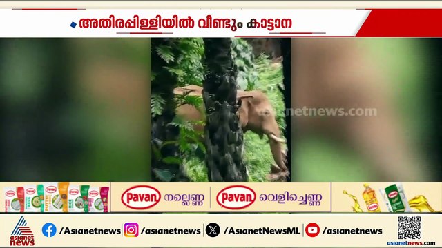 അതിരപ്പിള്ളിയിൽ വീണ്ടും കാട്ടാന; ആനകളെ തുരത്താൻ ദൗത്യസംഘം സ്ഥലത്ത്