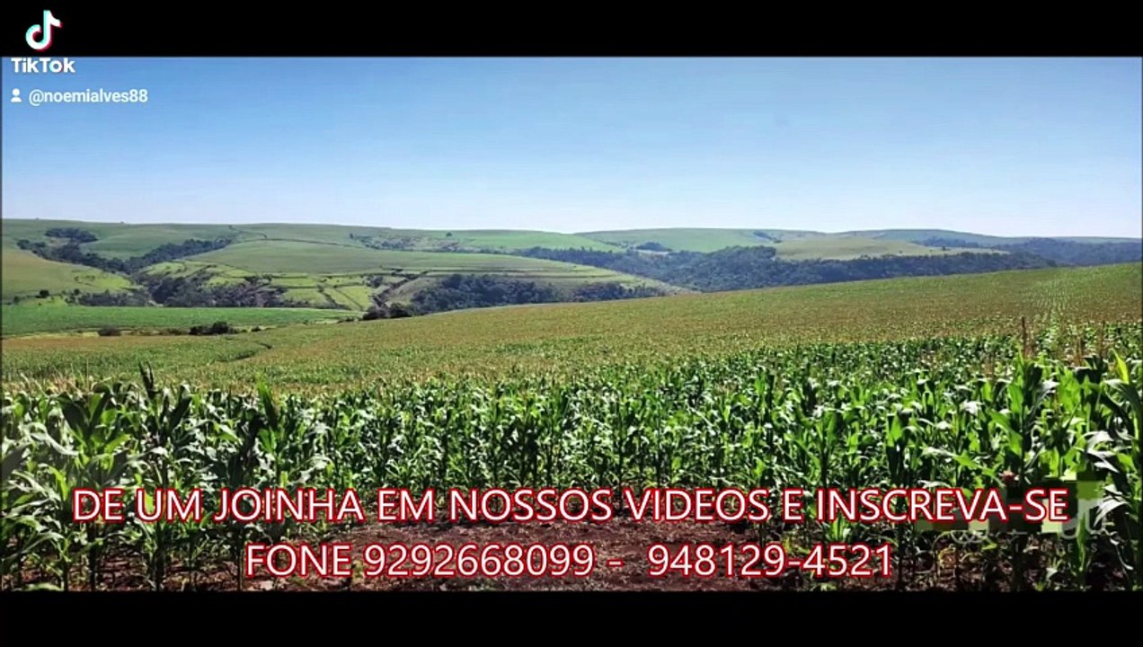 FAZENDA COM 565 ALQUEIRÃO A VENDA CMC