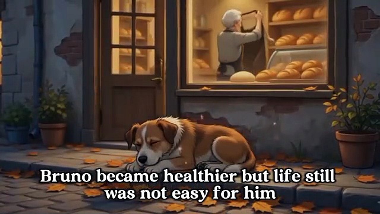 Patient Dog