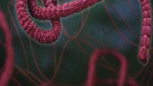 10 years later, Ebola raises fresh concerns