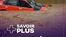 JUIN, MOIS DE TOUS LES DANGERS : CE QU'IL FAUT SAVOIR...