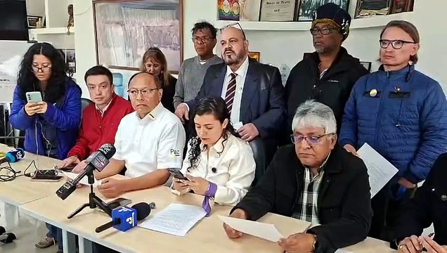 Proyecto de Constituyente no va más: comité promotor se echa atrás y detiene la recolección de firmas
