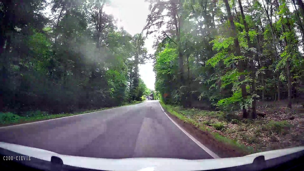 Dashcam-Fahrt Herzogtum Lauenburg: Borstorf nach Koberg