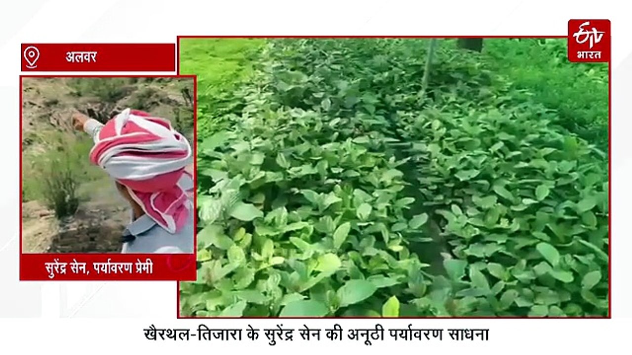 विश्व पर्यावरण दिवस: अकेले के दम पर बदली तस्वीर, सुरेंद्र सेन ने बिना सरकारी मदद के लगाए एक लाख से ज्यादा पौधे