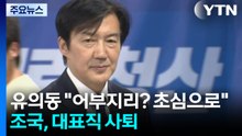 유의동 "어부지리? 초심으로"...조국, 당 대표직 사퇴 / YTN