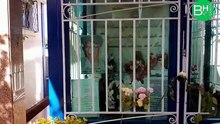 🏡 Visitando a Última Casa de Chico Xavier em Uberaba 🌻