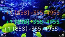 Fu**™ List Of Co.inBase™ CUSTOMER™ SUppOrT™ Numbers In USA: An Updated Official Guide-26+1 {858}↝355↝4955 (7)
