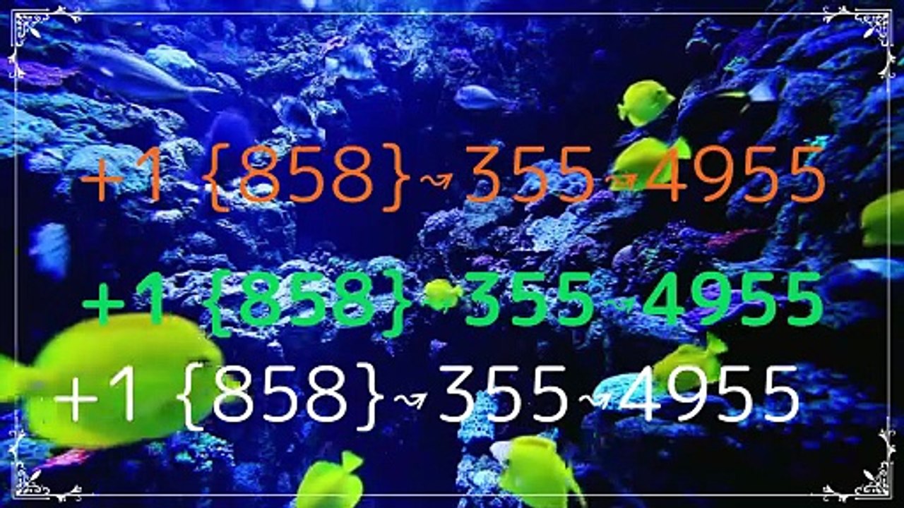 Fu**™ List Of Co.inBase™ CUSTOMER™ SUppOrT™ Numbers In USA: An Updated Official Guide-26+1 {858}↝355↝4955 (7)
