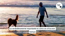 La psicología explica que los jubilados más felices no son los que se mantienen ocupados: son los que han aprendido la diferencia entre llenar el tiempo y aprovecharlo