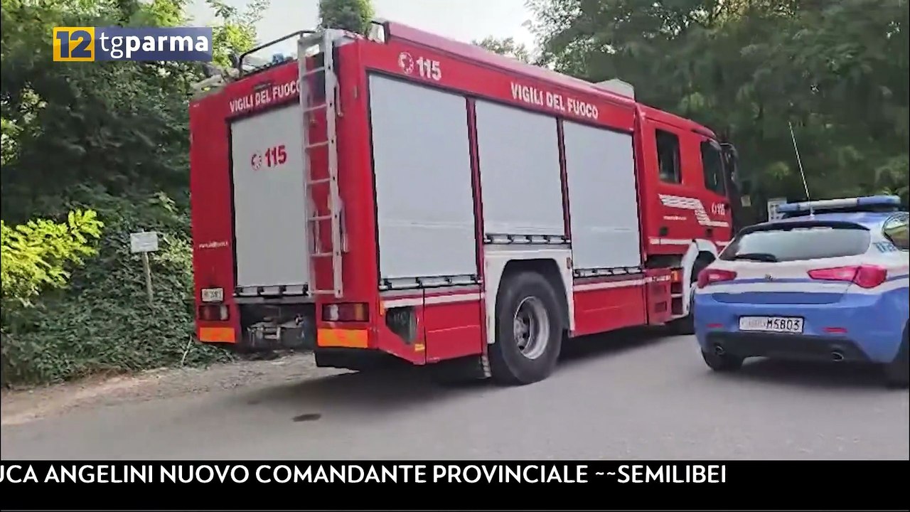 Cadavere Taro