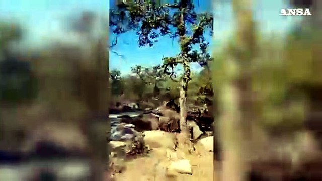 Spento incendio nel Nuorese, piu' di 800 ettari bruciati