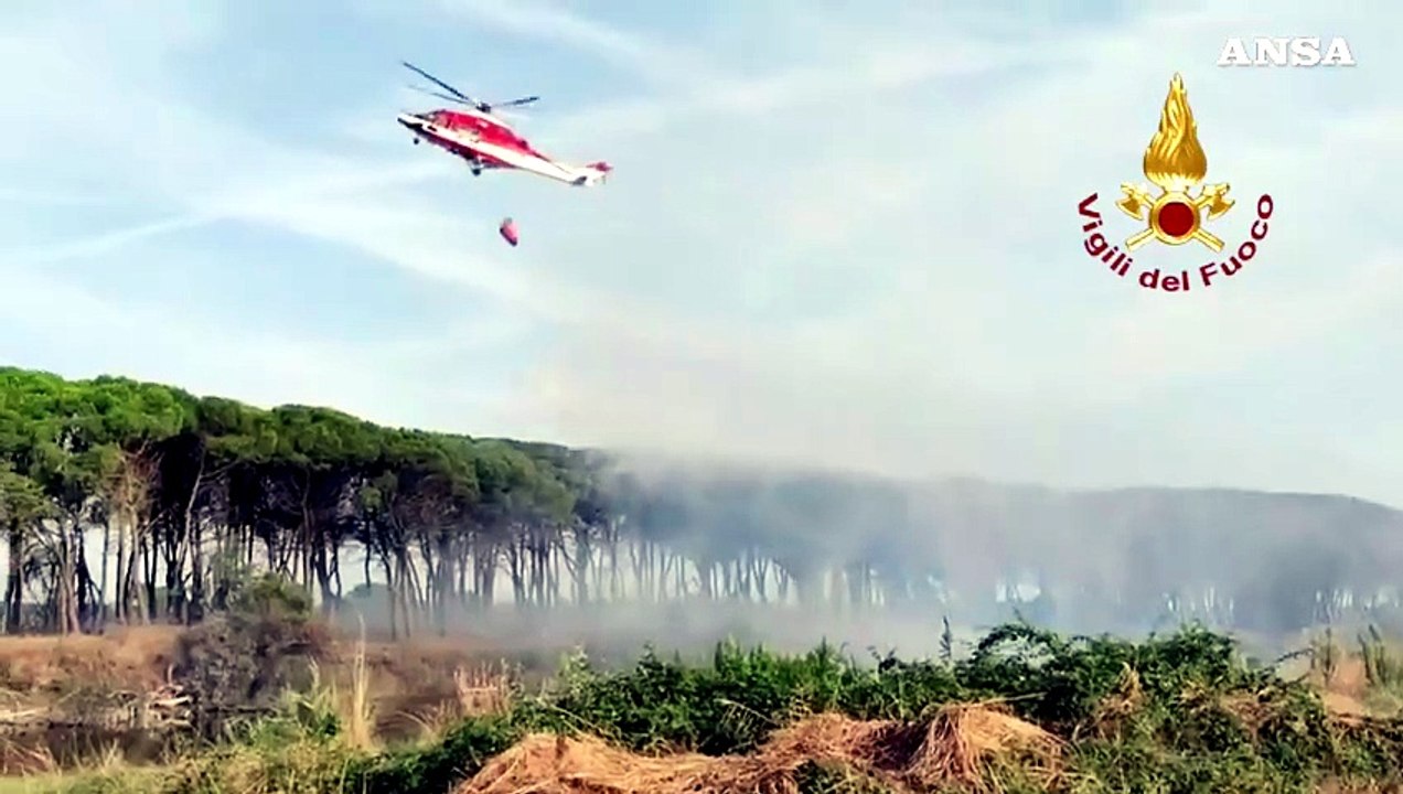 Ravenna, incendio a Pineta di Punta Marina: vigili del fuoco in azione