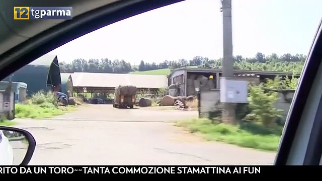 Gaiano, Gravissimo Allevatore Ferito Da Un Toro