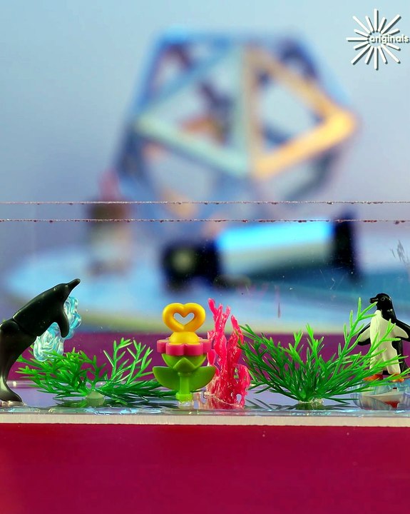 Miniature aquariums in the pavement! 🐠✨