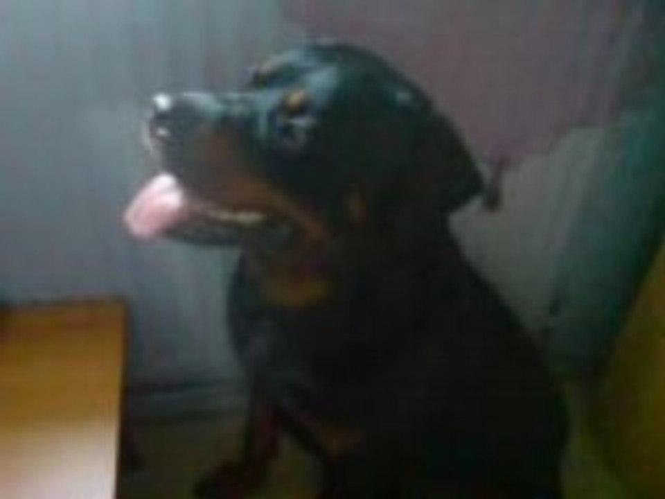 rott