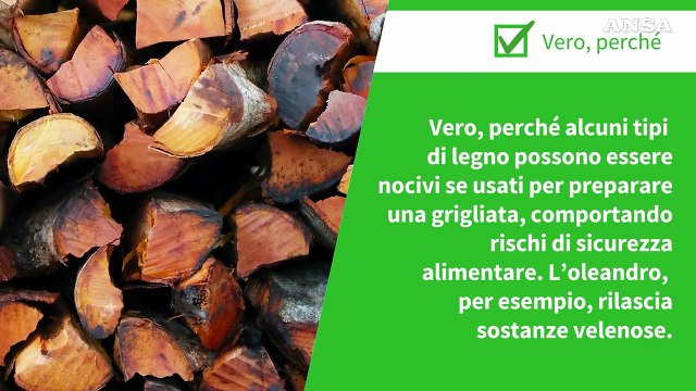 ANSA VERIFIED - E' vero che alcuni tipi di legna non sono idonei per le grigliate e gli usi alimentari?